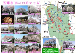 140401_五條市観光協会_花情報