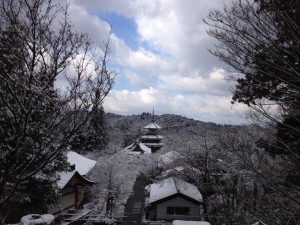 1898137_577890988974439_1016719890_n