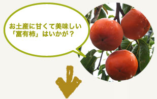 お土産に甘くて美味しい「富有柿」はいかが？
